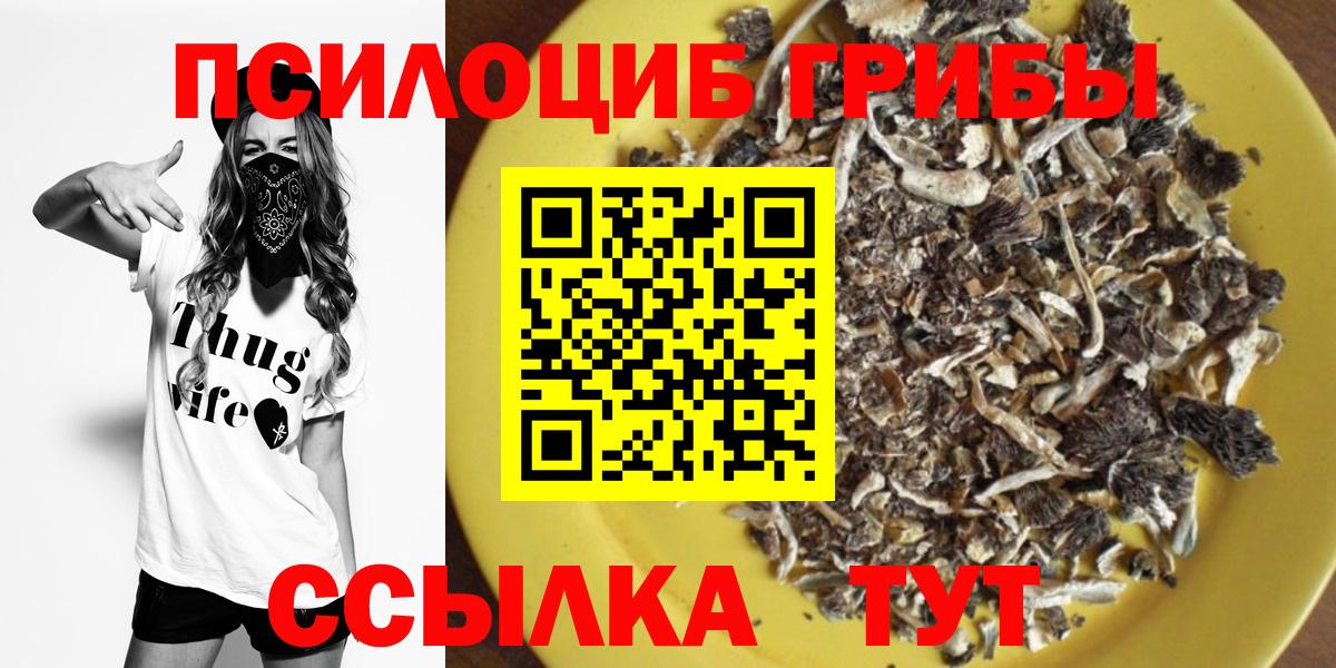 Псилоцибиновые грибы GOLDEN TEACHER Кемерово
