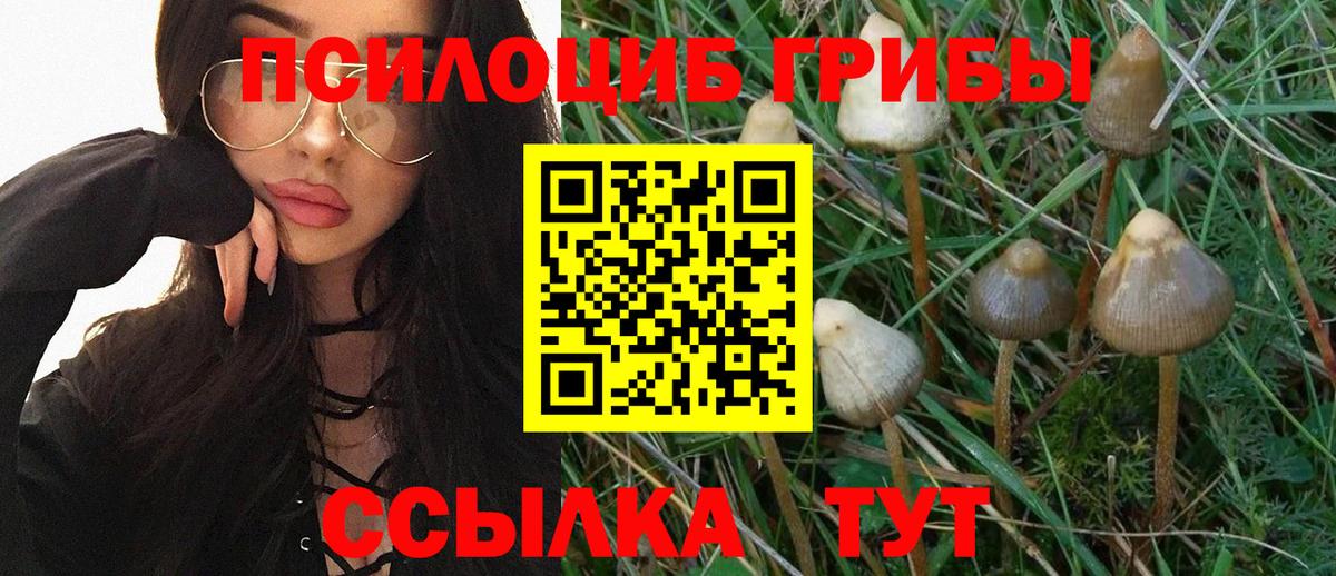 Псилоцибиновые грибы Psilocybe  Вход с VPN  Кемерово  Галлюциногенные грибы прущие грибы 